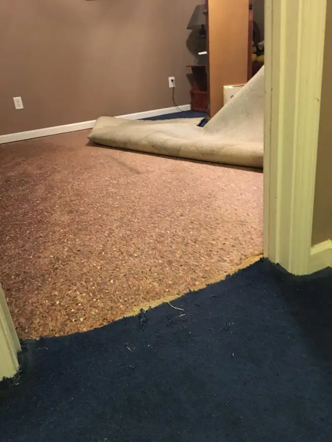 Carpet pad removal revealing water damage during Drying & Dehumidification in Tewksbury