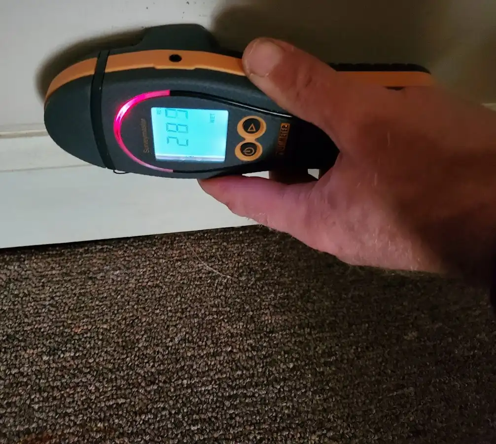 Moisture detection at baseboard during Sewage Cleanup & Sanitation in Tewksbury